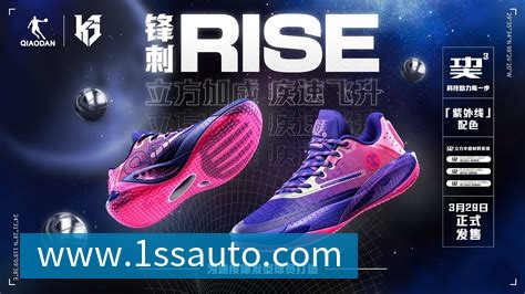 未来规划